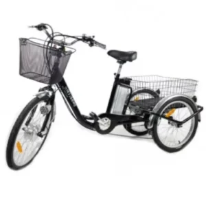 Triciclo Eléctrico Swing ELITE Plus