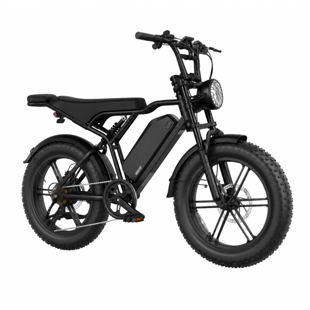 ebike-sabway-rider-max-
