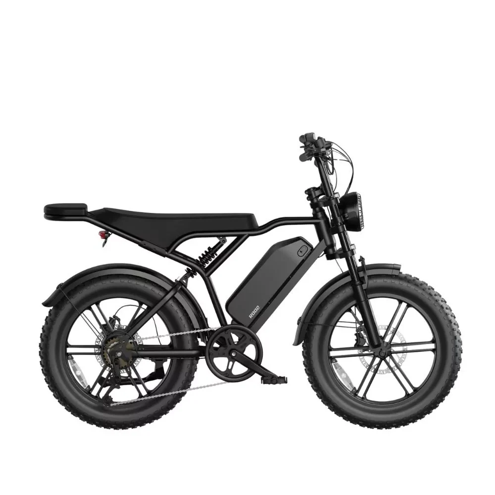 ebike-sabway-rider-max- (1)