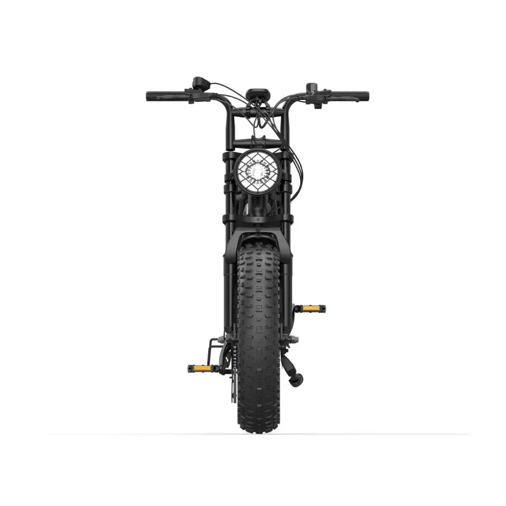 ebike-sabway-rider-max- (3)
