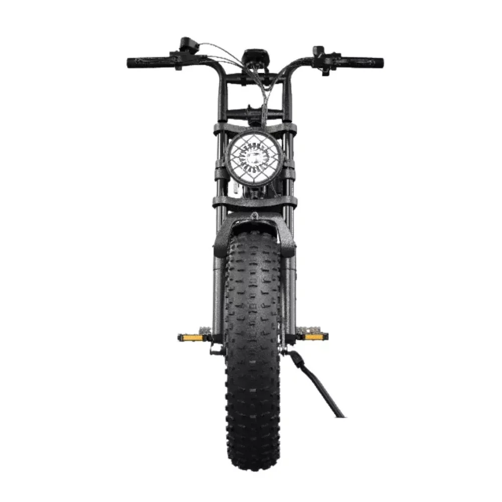 ebike-sabway-rider-pro (5)