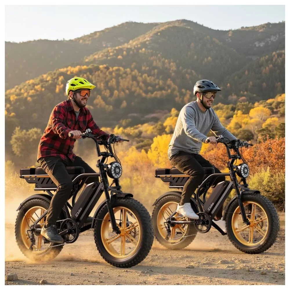 ebike-sabway-rider-ultra (18)