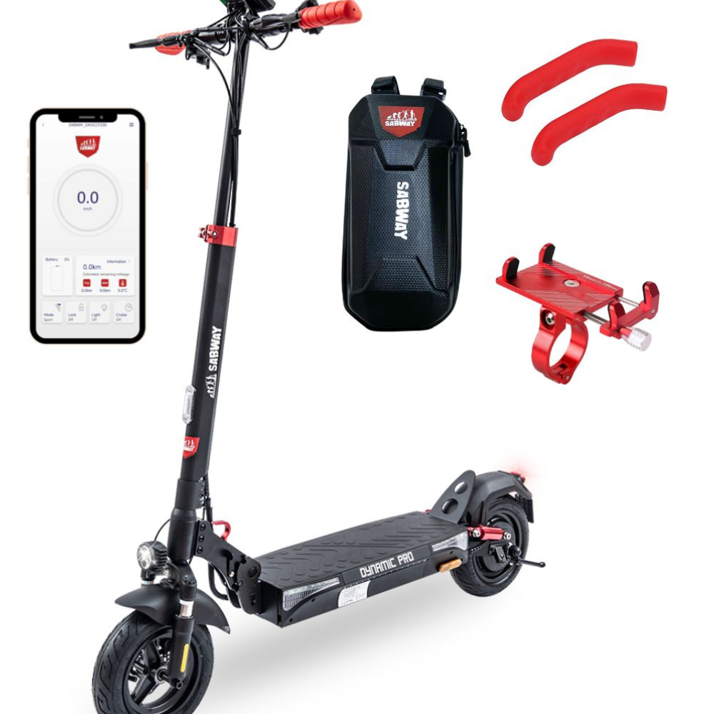 patinete-electrico-dynamic-pro-rider-600w-homologado-dgt (1)
